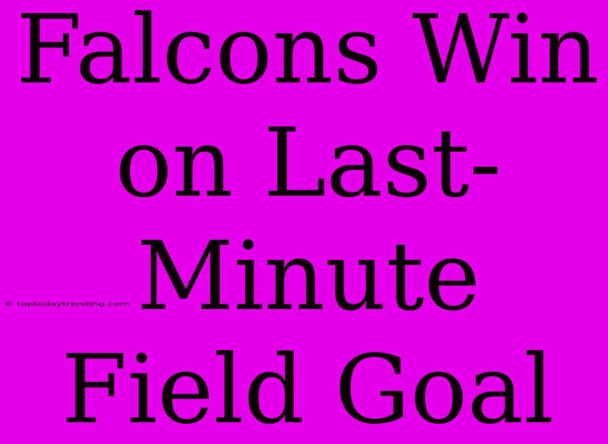 Falcons Win On Last-Minute Field Goal