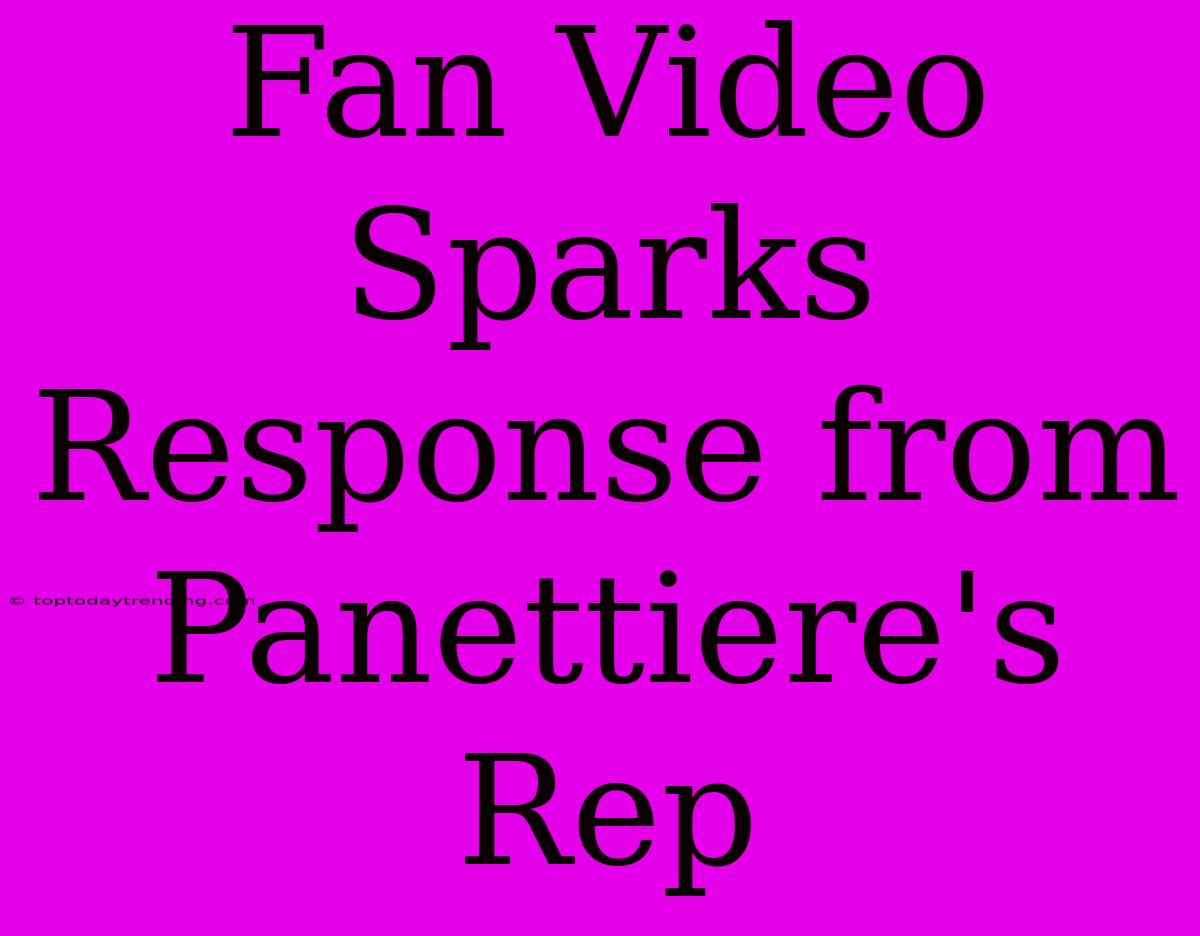 Fan Video Sparks Response From Panettiere's Rep