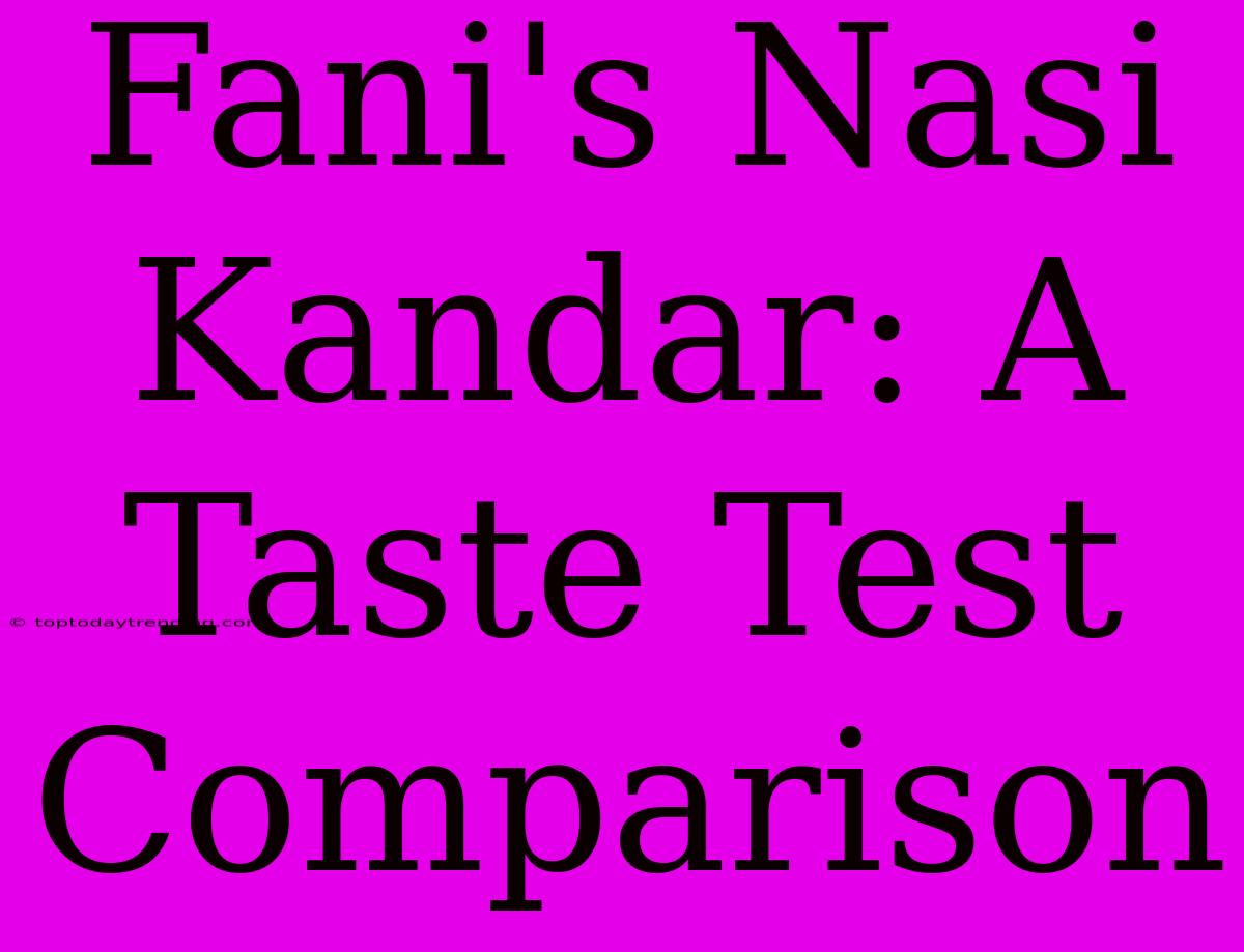 Fani's Nasi Kandar: A Taste Test Comparison