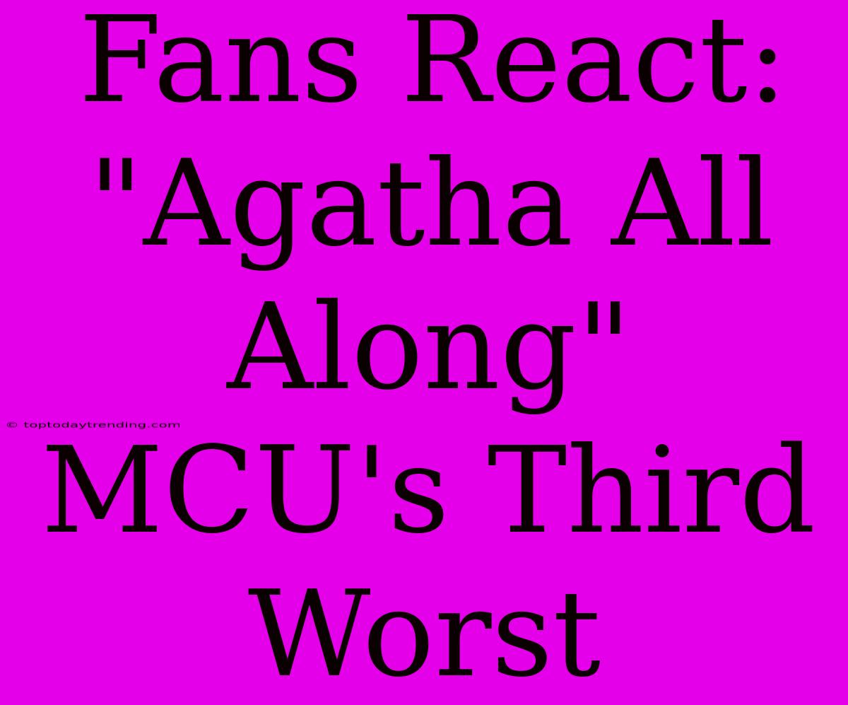 Fans React: 