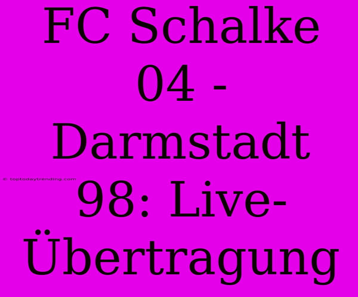 FC Schalke 04 - Darmstadt 98: Live-Übertragung