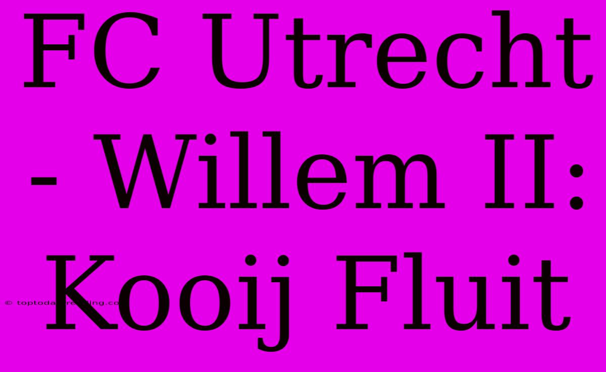 FC Utrecht - Willem II: Kooij Fluit