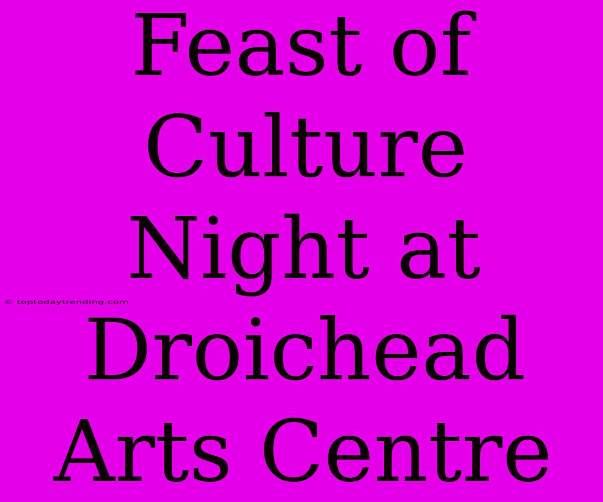 Feast Of Culture Night At Droichead Arts Centre