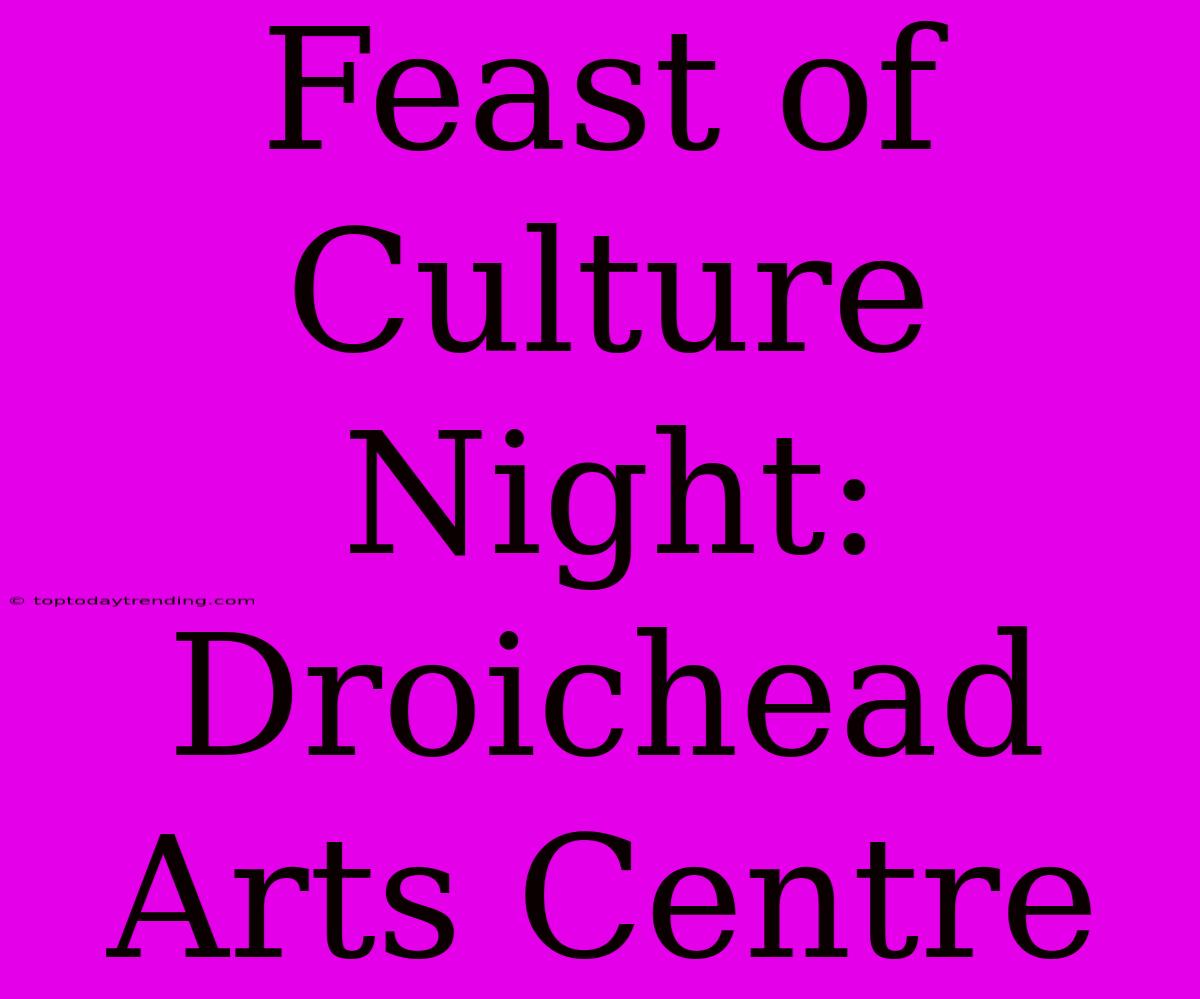 Feast Of Culture Night: Droichead Arts Centre