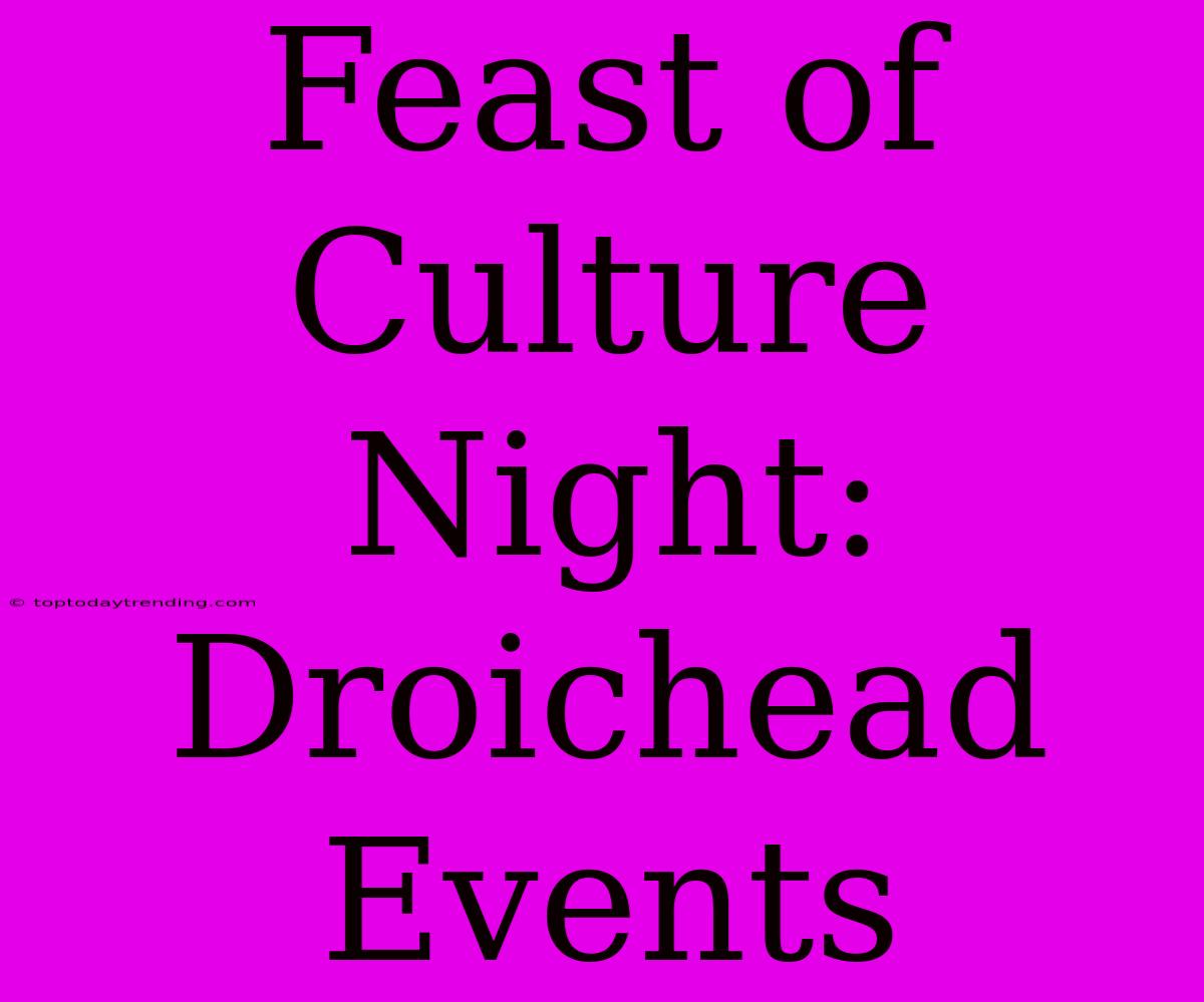 Feast Of Culture Night: Droichead Events