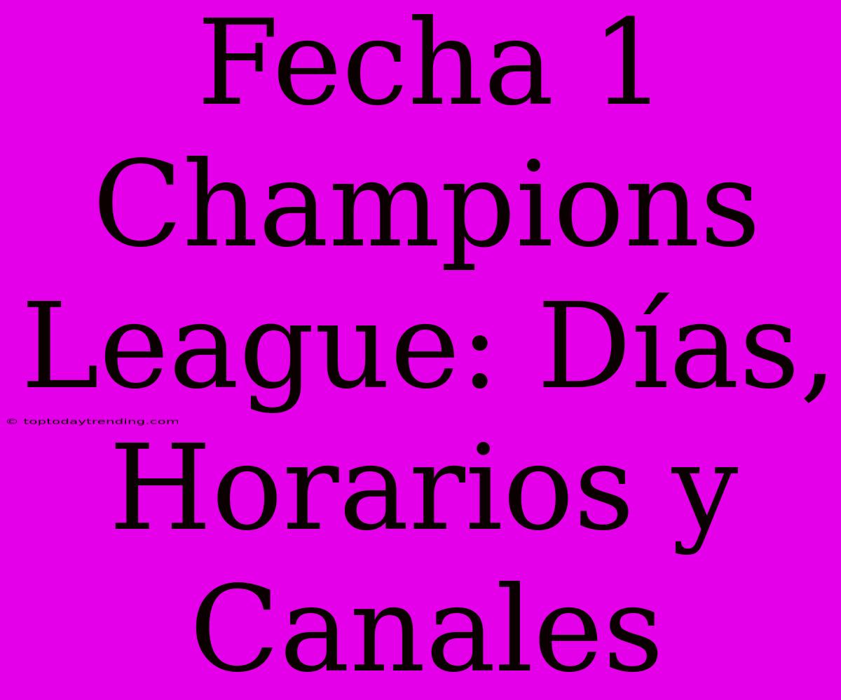 Fecha 1 Champions League: Días, Horarios Y Canales