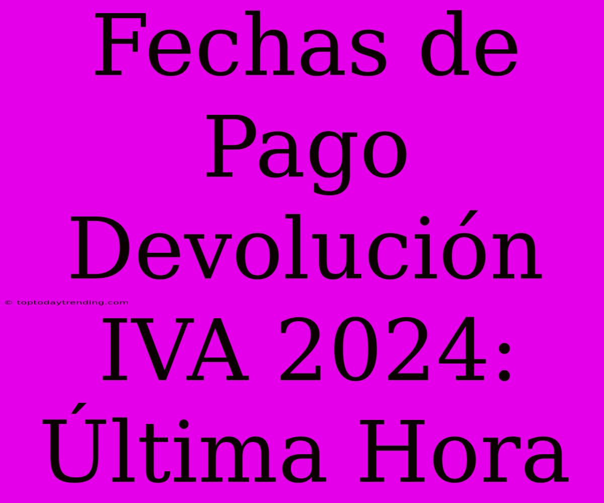 Fechas De Pago Devolución IVA 2024: Última Hora