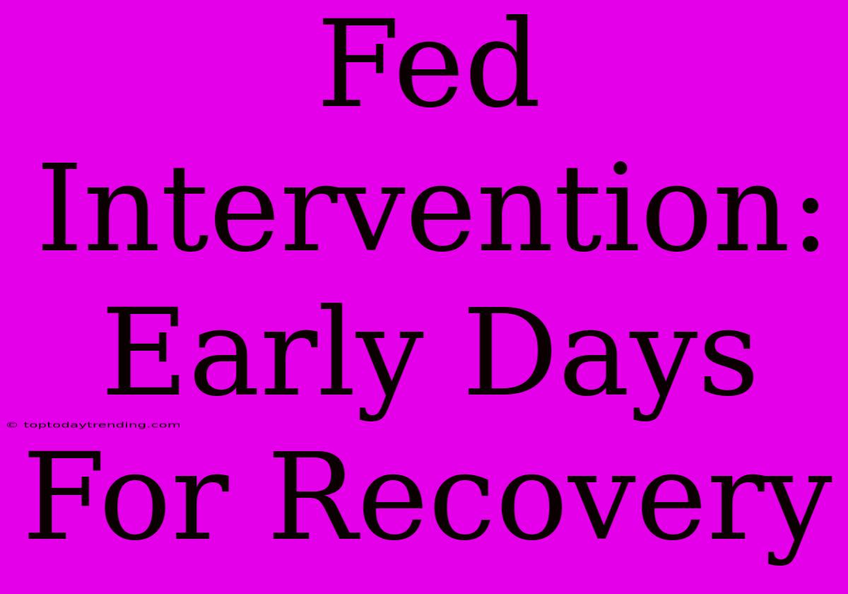 Fed Intervention:  Early Days For Recovery