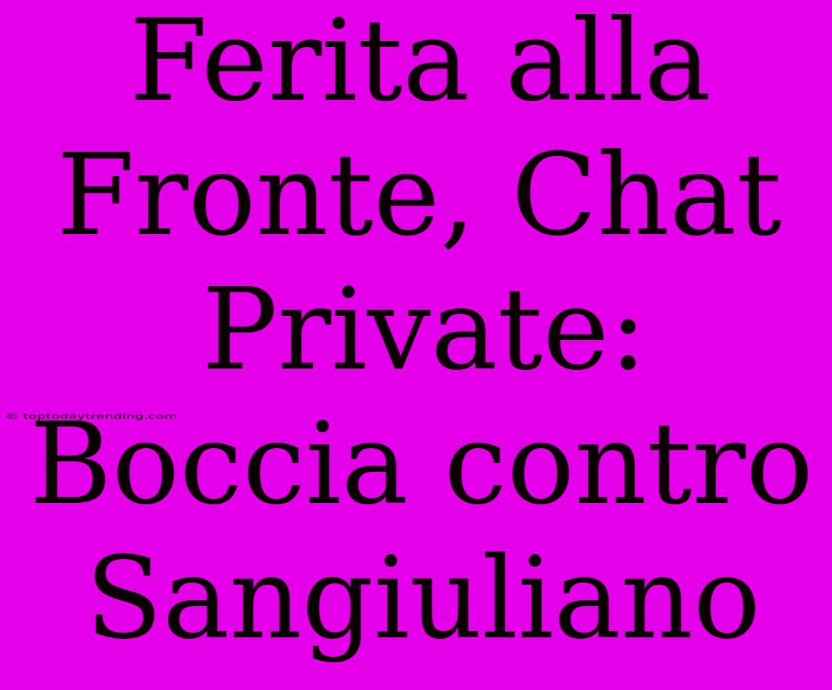 Ferita Alla Fronte, Chat Private: Boccia Contro Sangiuliano