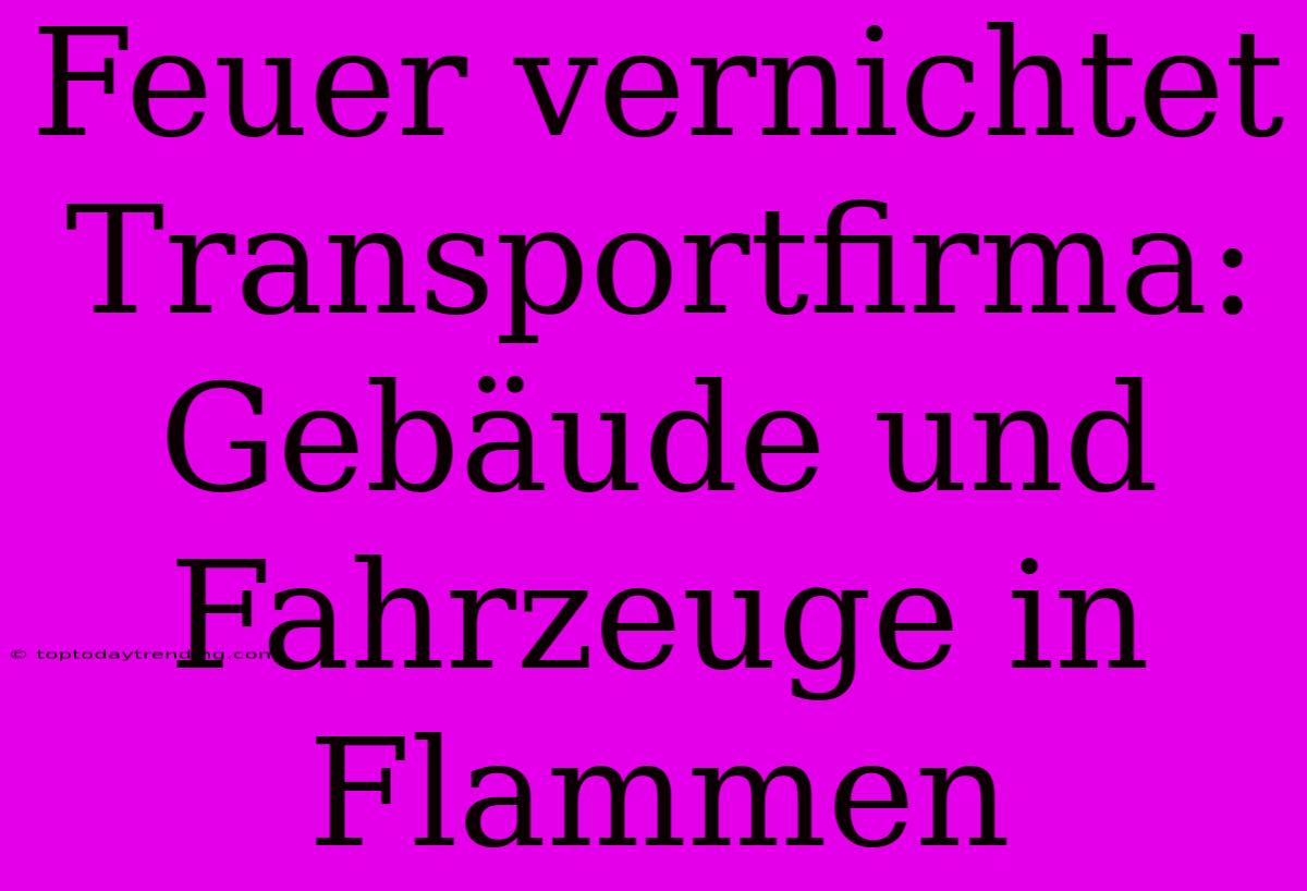 Feuer Vernichtet Transportfirma: Gebäude Und Fahrzeuge In Flammen