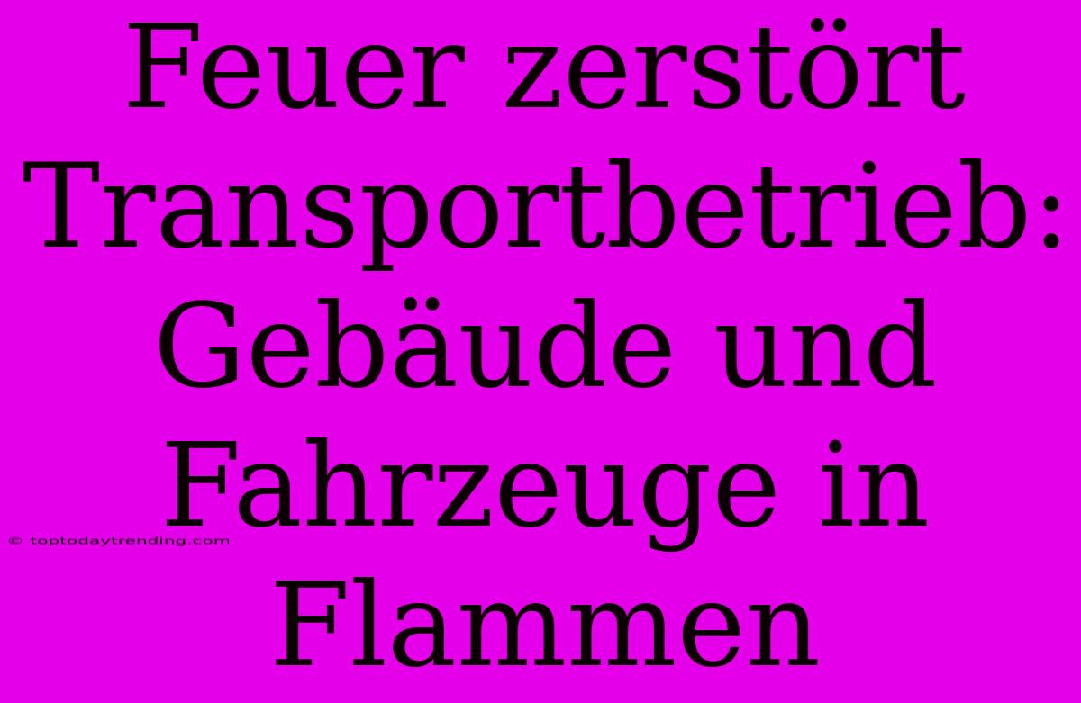 Feuer Zerstört Transportbetrieb: Gebäude Und Fahrzeuge In Flammen