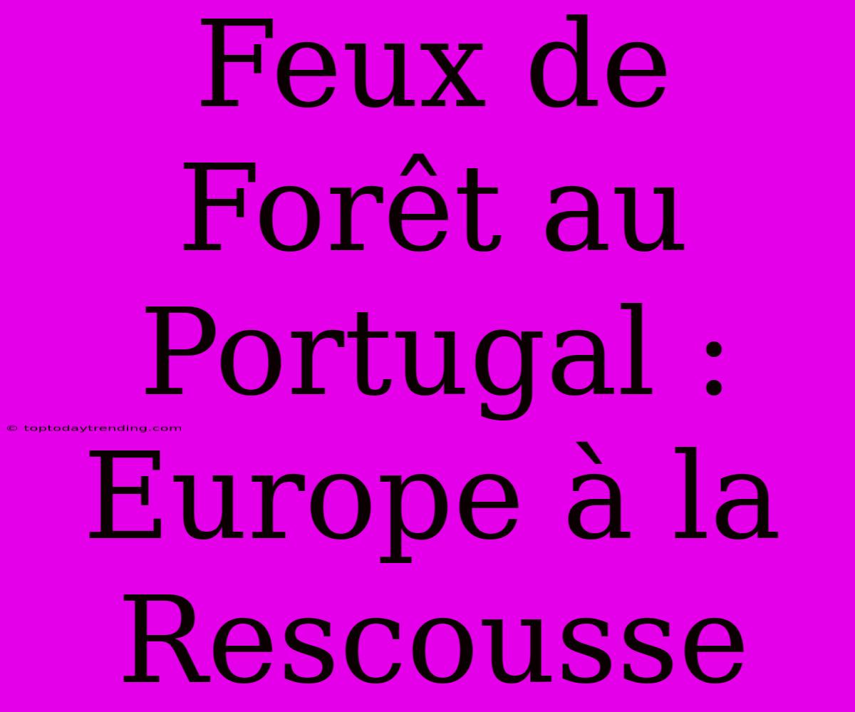 Feux De Forêt Au Portugal : Europe À La Rescousse