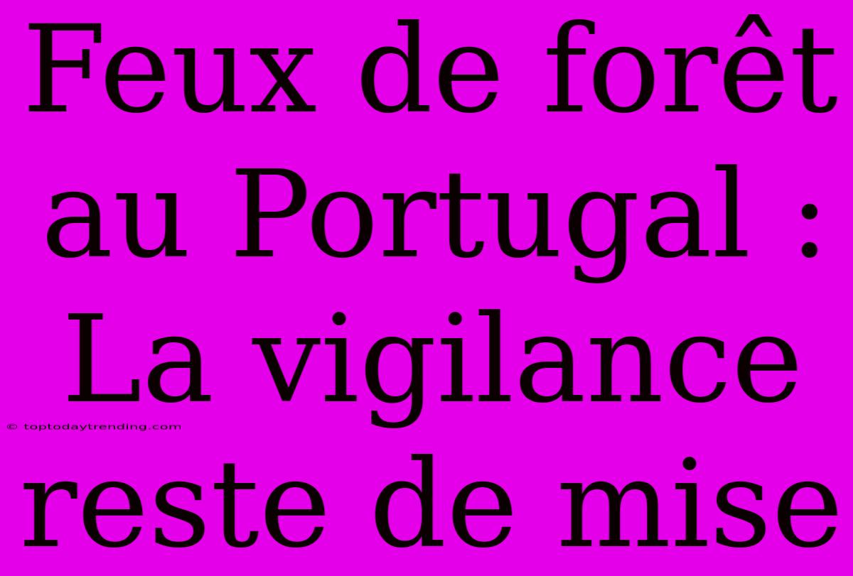 Feux De Forêt Au Portugal : La Vigilance Reste De Mise