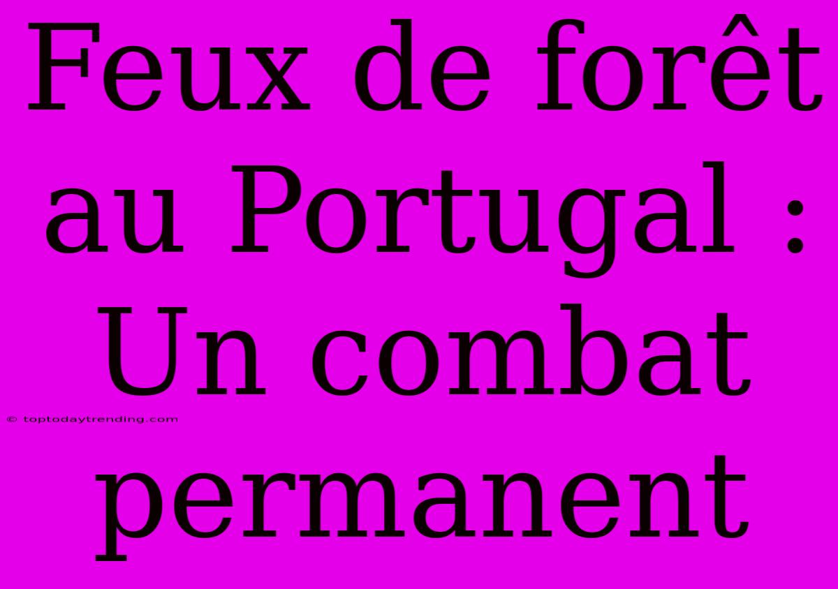 Feux De Forêt Au Portugal : Un Combat Permanent