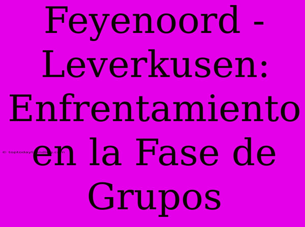 Feyenoord - Leverkusen: Enfrentamiento En La Fase De Grupos