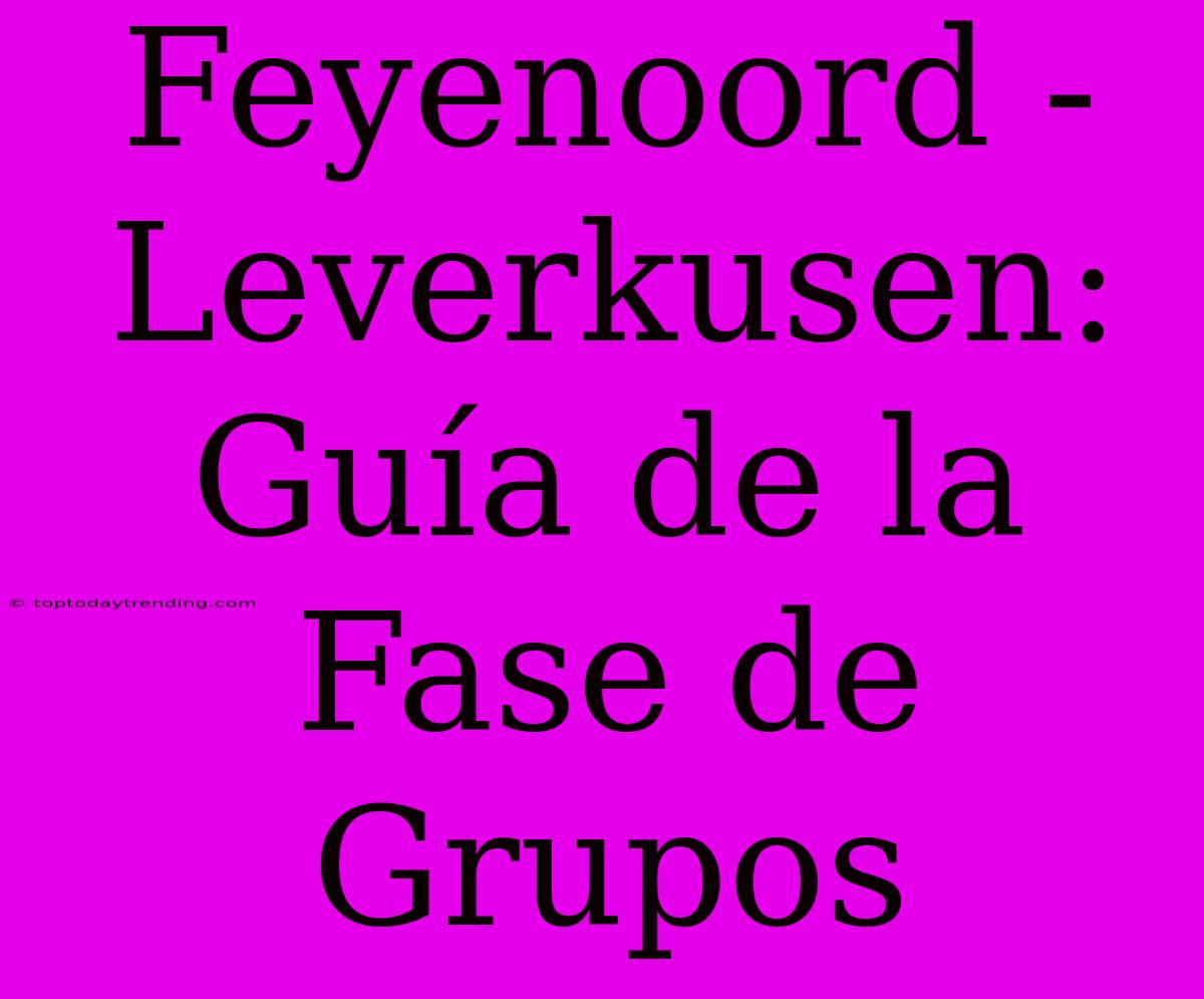 Feyenoord - Leverkusen: Guía De La Fase De Grupos