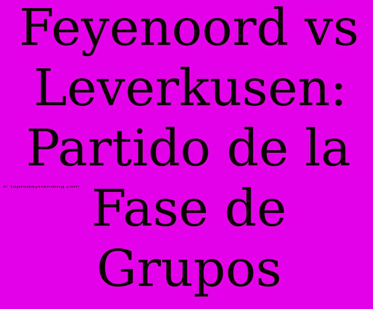 Feyenoord Vs Leverkusen: Partido De La Fase De Grupos