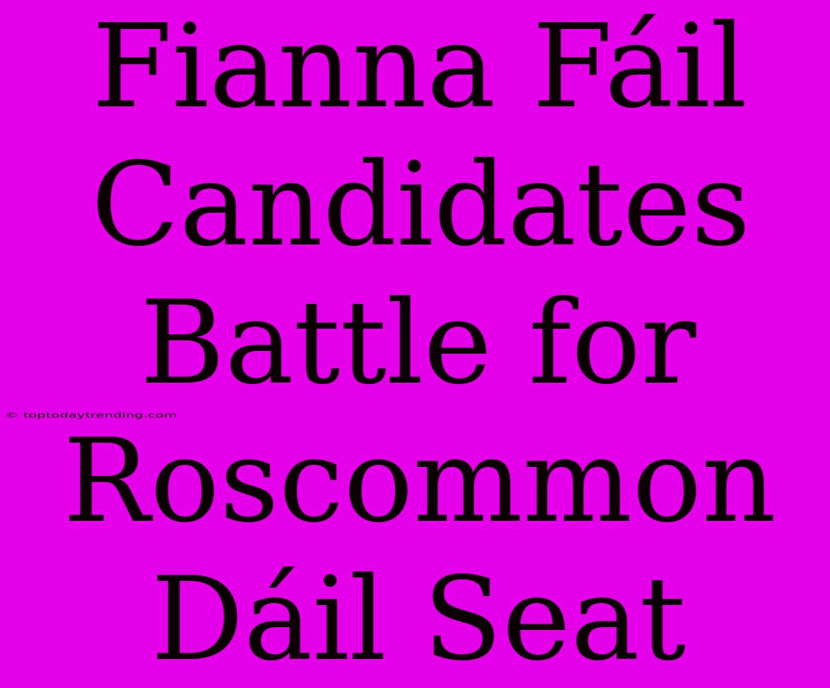 Fianna Fáil Candidates Battle For Roscommon Dáil Seat