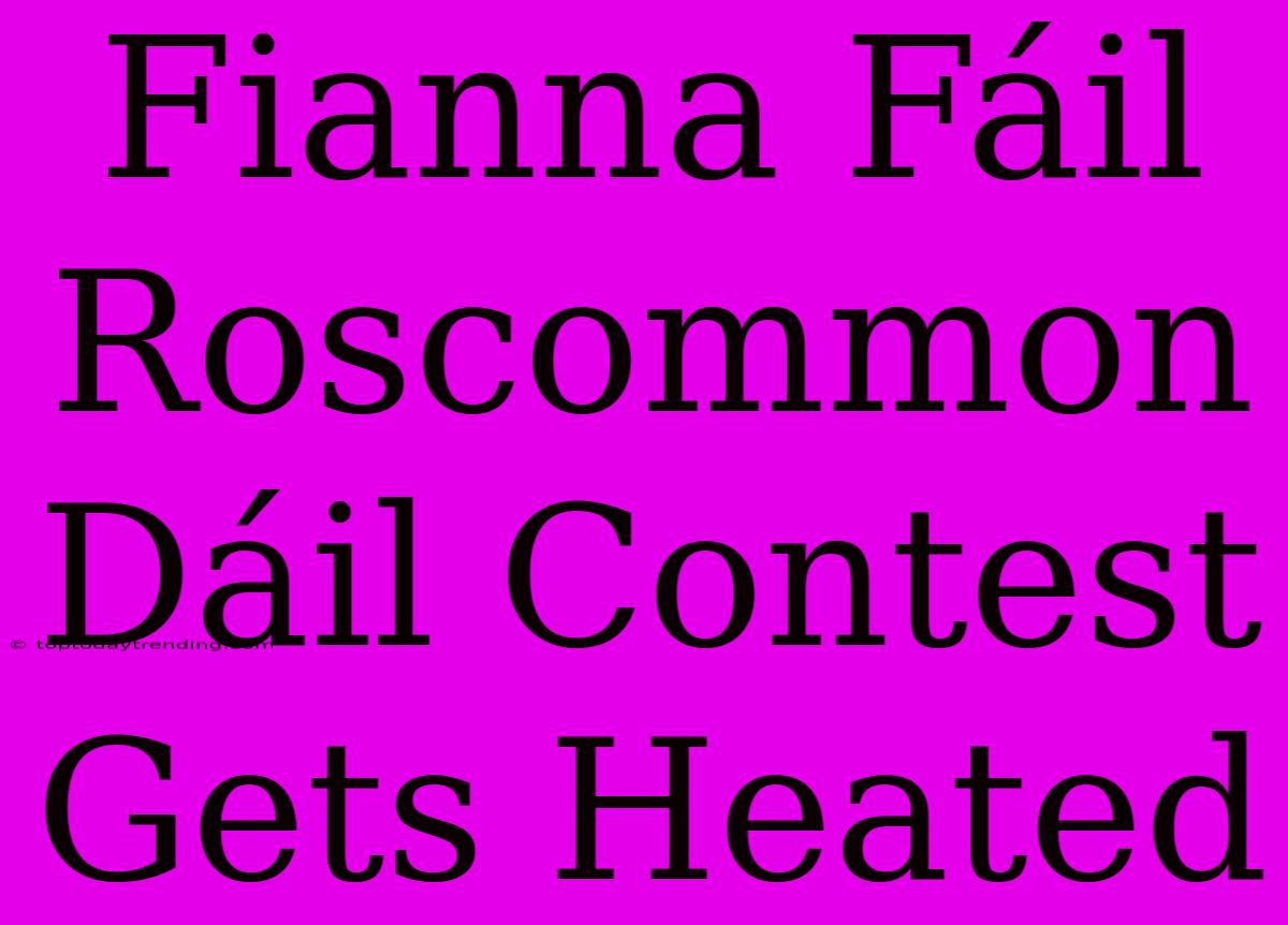 Fianna Fáil Roscommon Dáil Contest Gets Heated