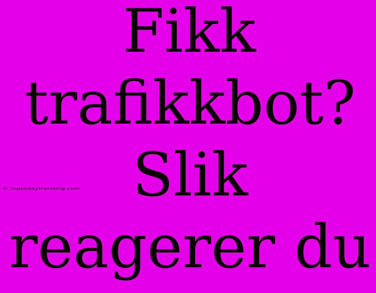 Fikk Trafikkbot? Slik Reagerer Du