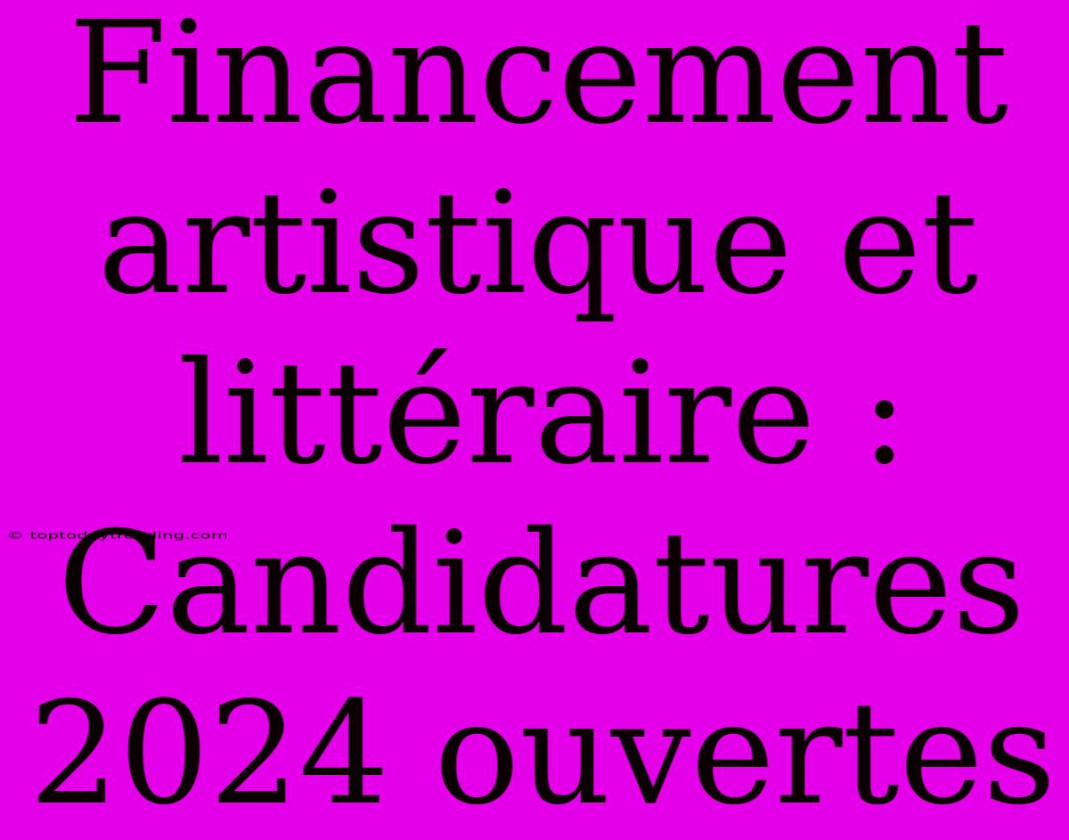 Financement Artistique Et Littéraire : Candidatures 2024 Ouvertes