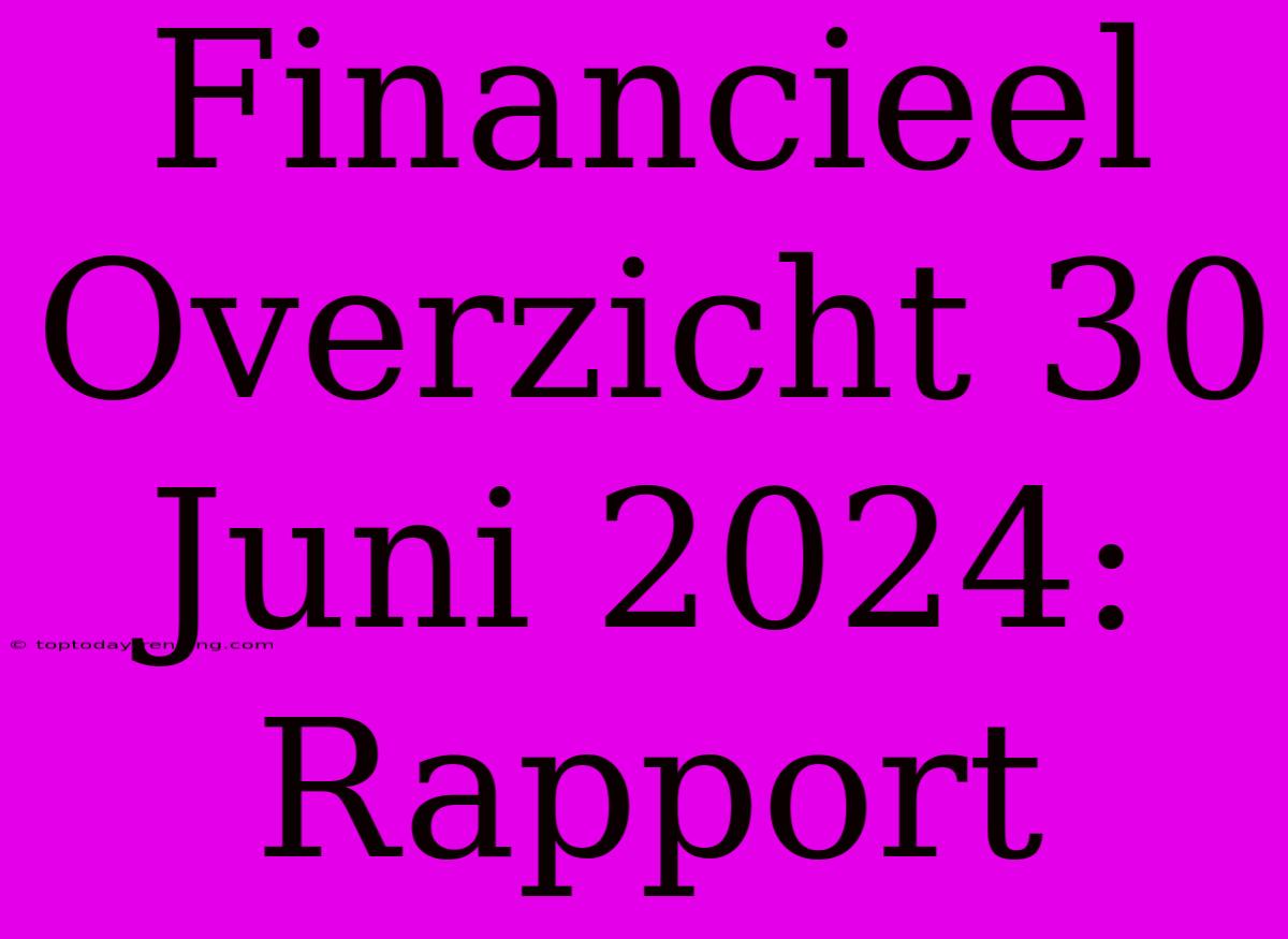 Financieel Overzicht 30 Juni 2024: Rapport