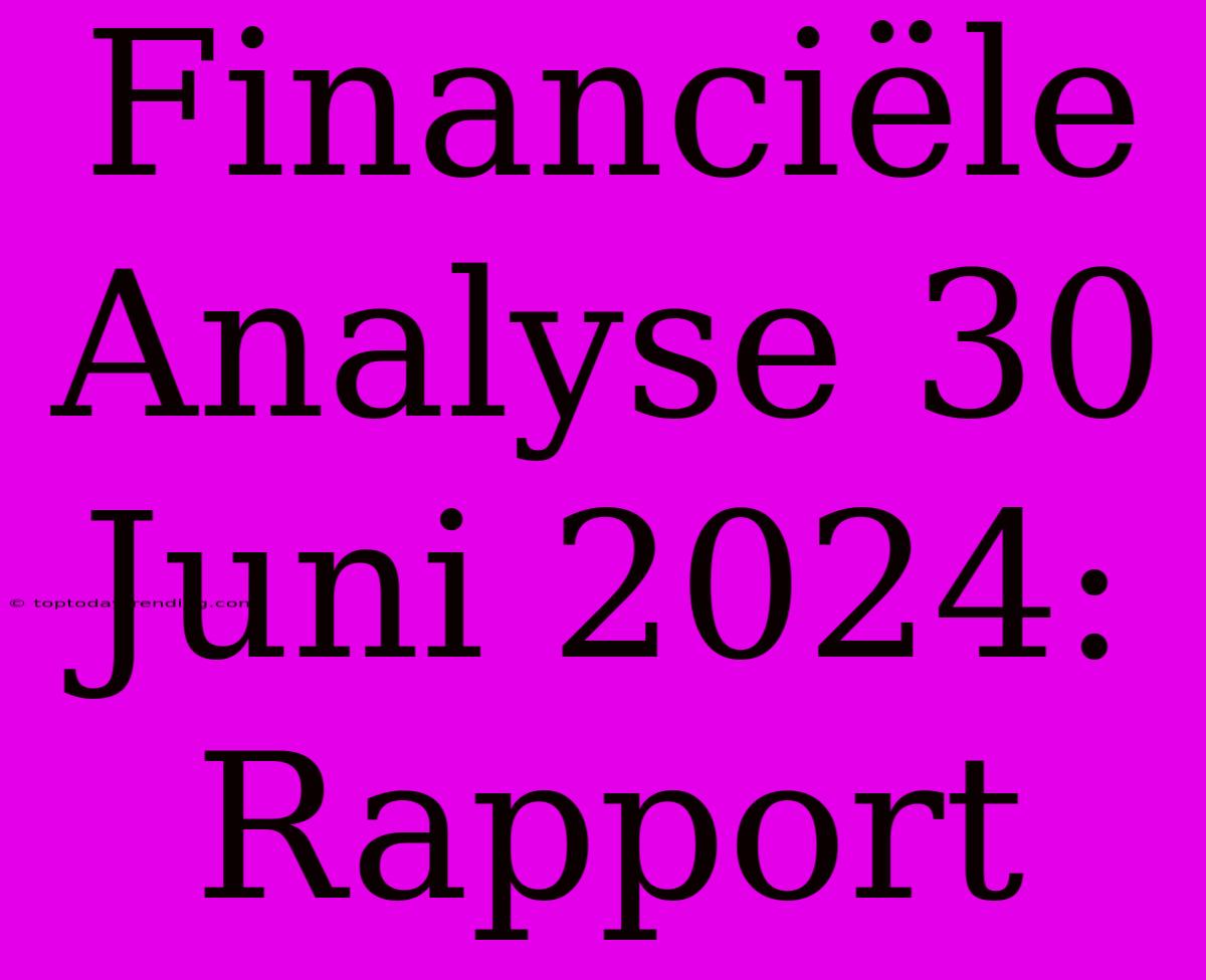 Financiële Analyse 30 Juni 2024: Rapport