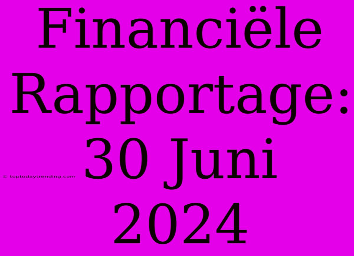 Financiële Rapportage: 30 Juni 2024