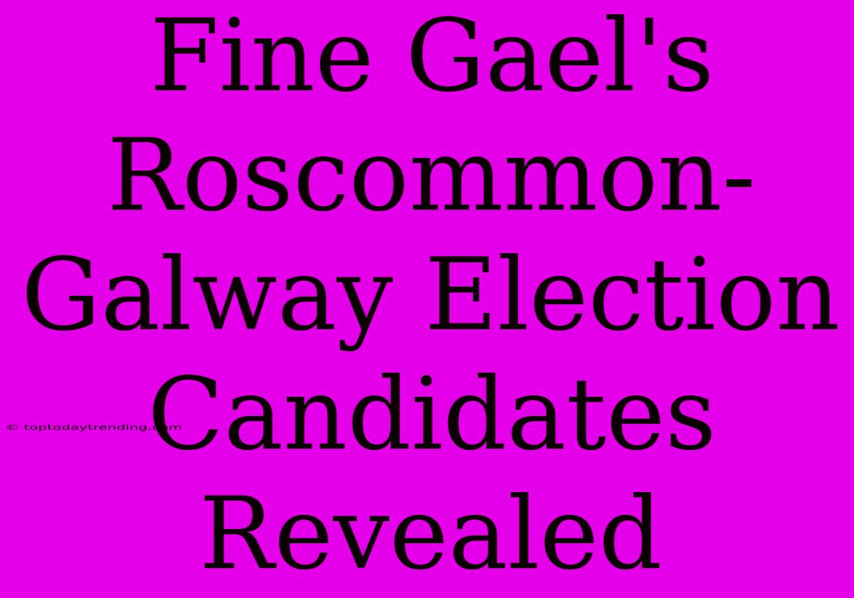 Fine Gael's Roscommon-Galway Election Candidates Revealed