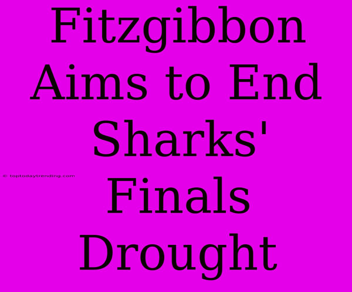 Fitzgibbon Aims To End Sharks' Finals Drought