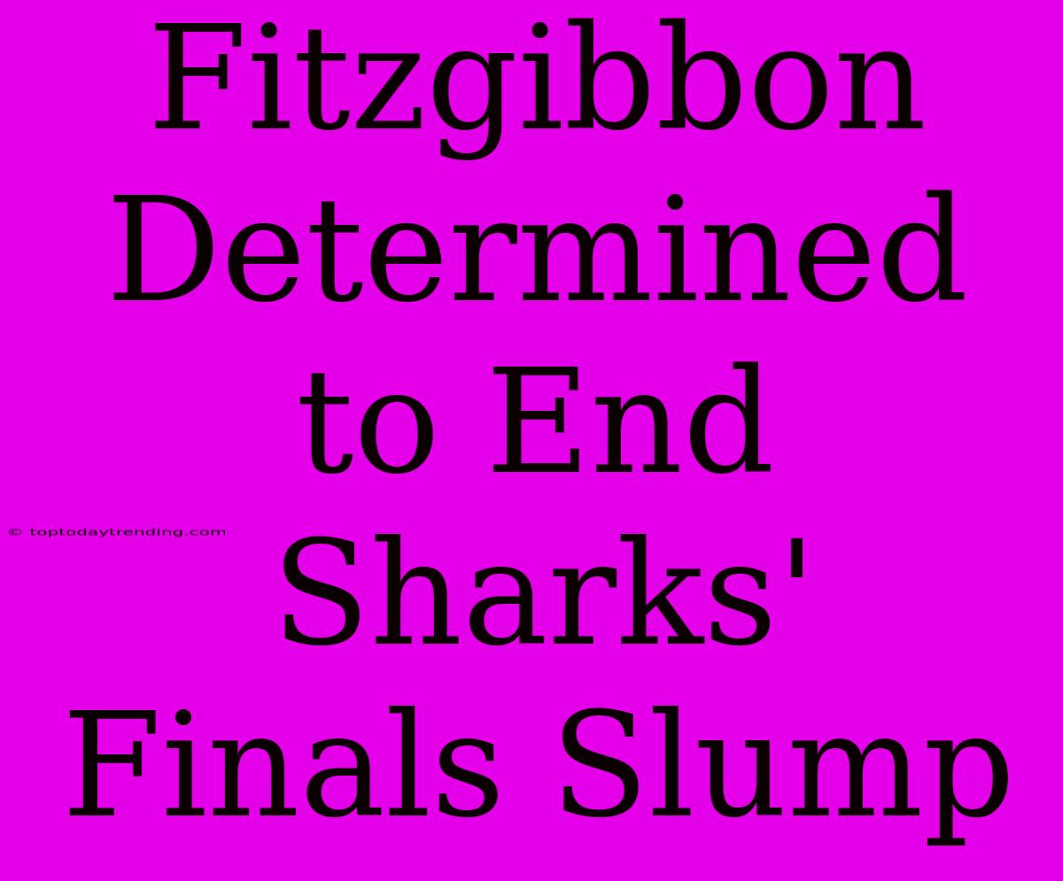 Fitzgibbon Determined To End Sharks' Finals Slump