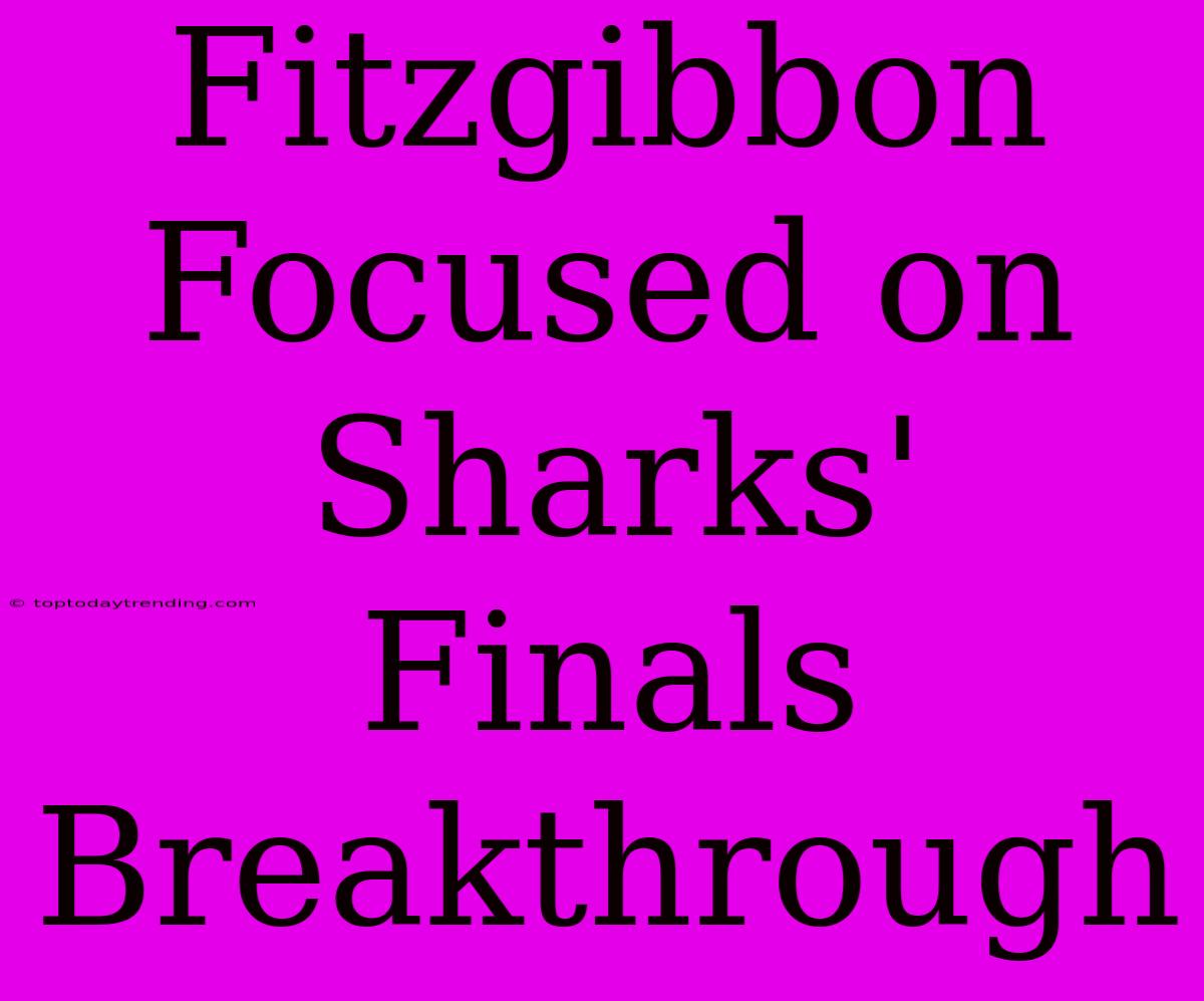 Fitzgibbon Focused On Sharks' Finals Breakthrough