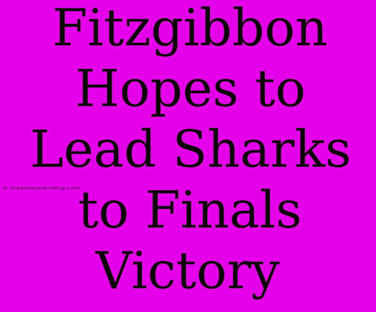 Fitzgibbon Hopes To Lead Sharks To Finals Victory