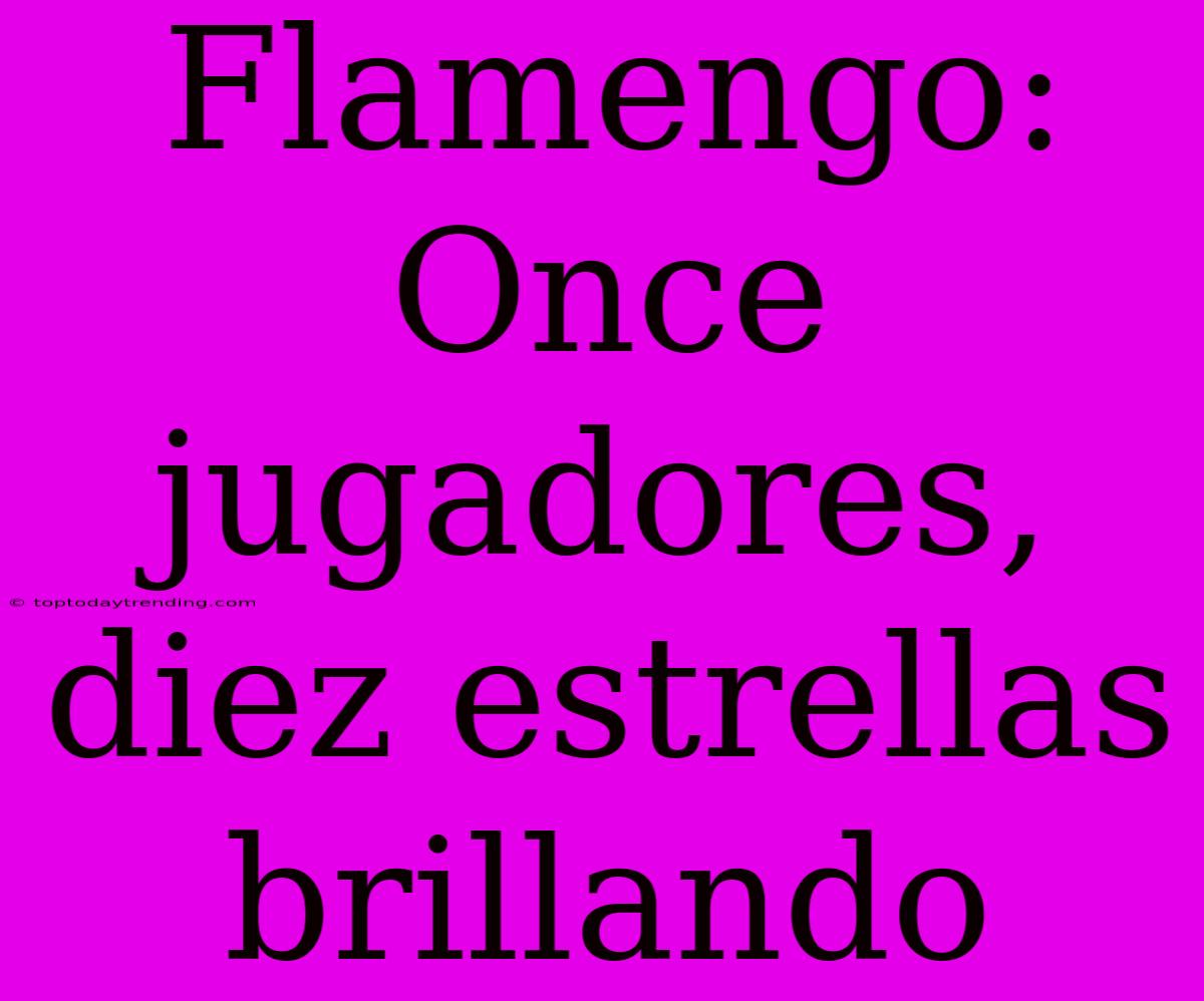 Flamengo: Once Jugadores, Diez Estrellas Brillando