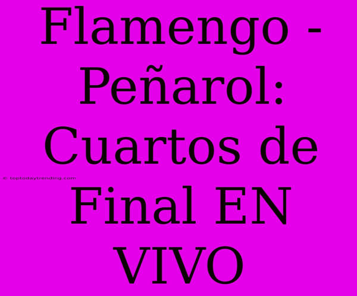 Flamengo - Peñarol: Cuartos De Final EN VIVO