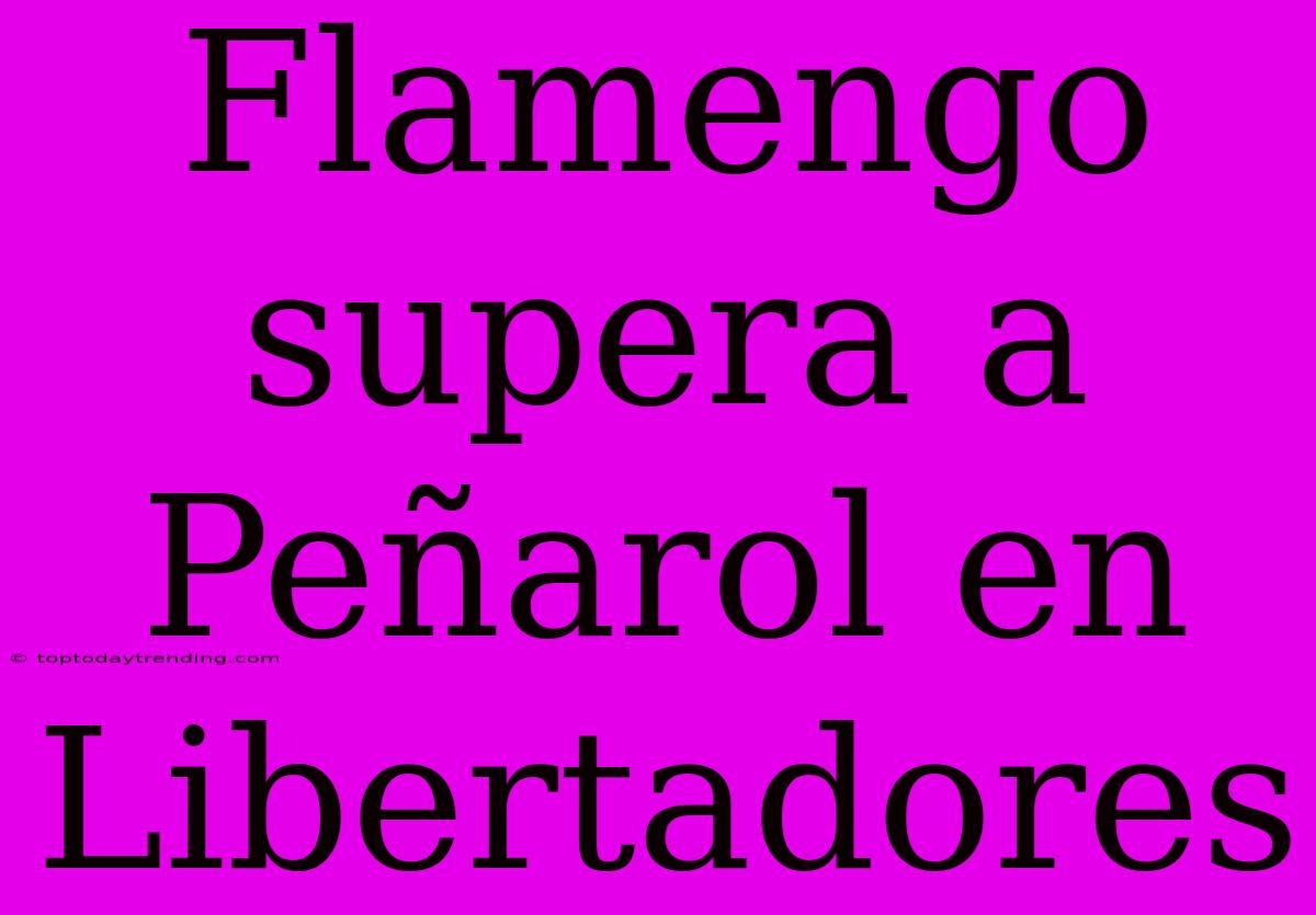 Flamengo Supera A Peñarol En Libertadores