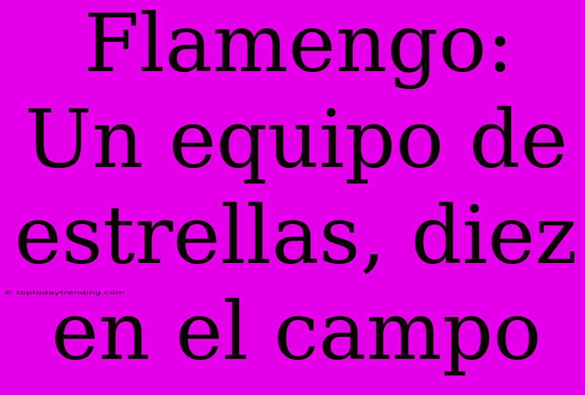 Flamengo: Un Equipo De Estrellas, Diez En El Campo