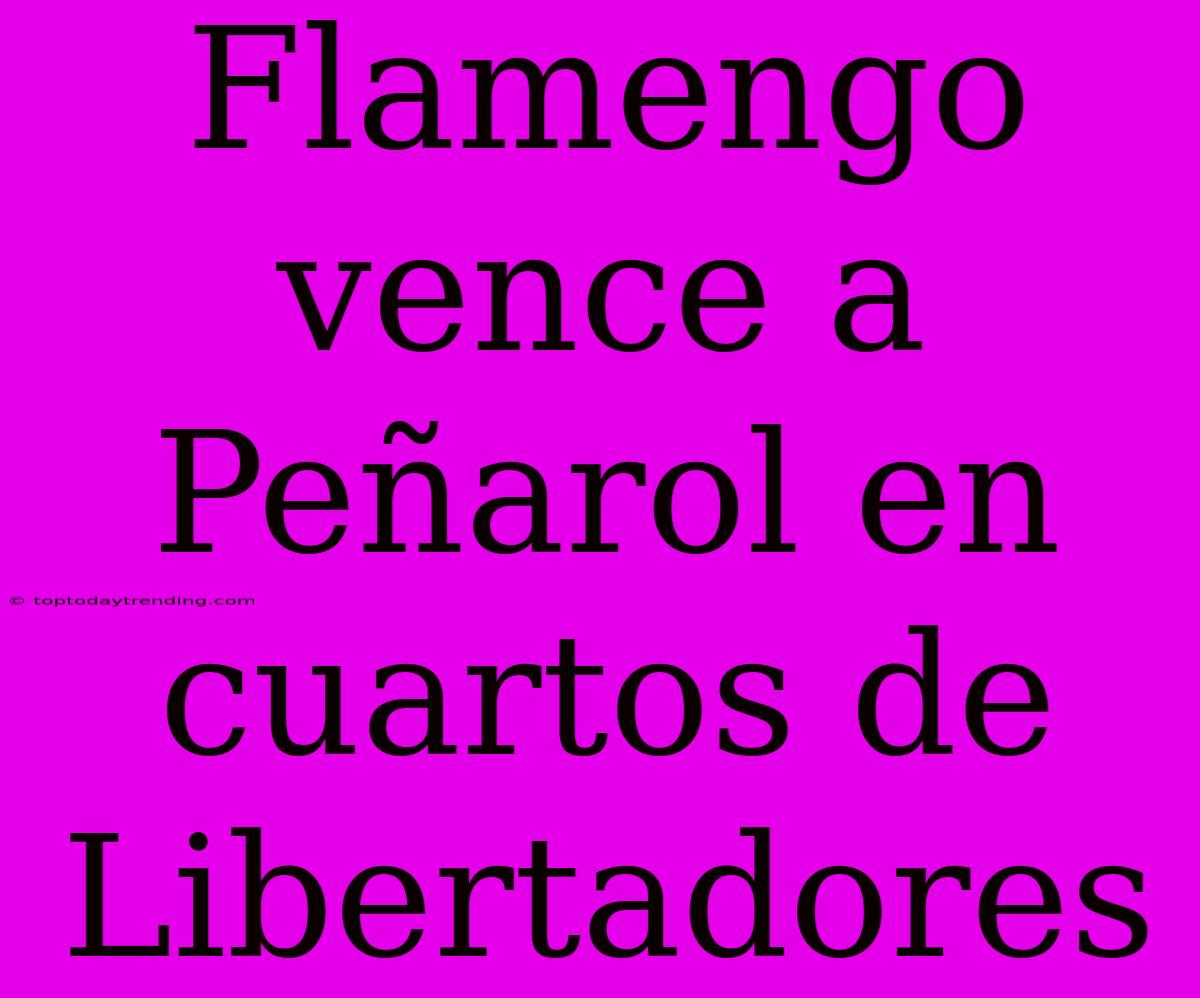 Flamengo Vence A Peñarol En Cuartos De Libertadores