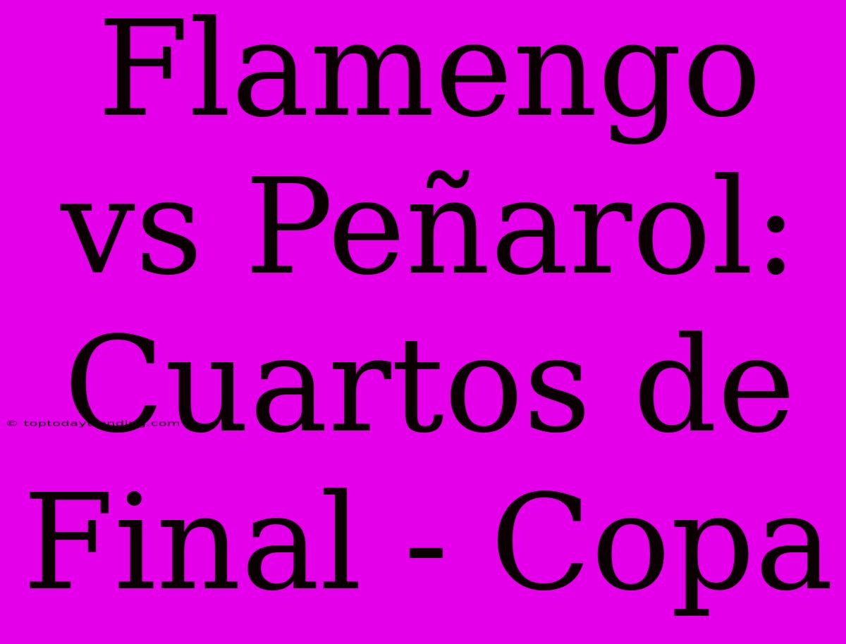 Flamengo Vs Peñarol: Cuartos De Final - Copa