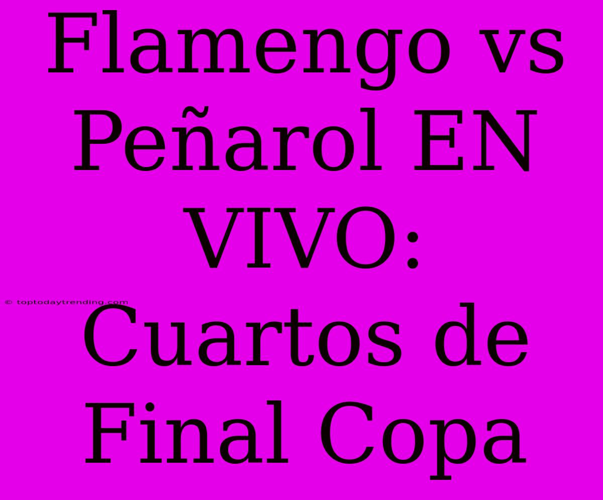 Flamengo Vs Peñarol EN VIVO: Cuartos De Final Copa