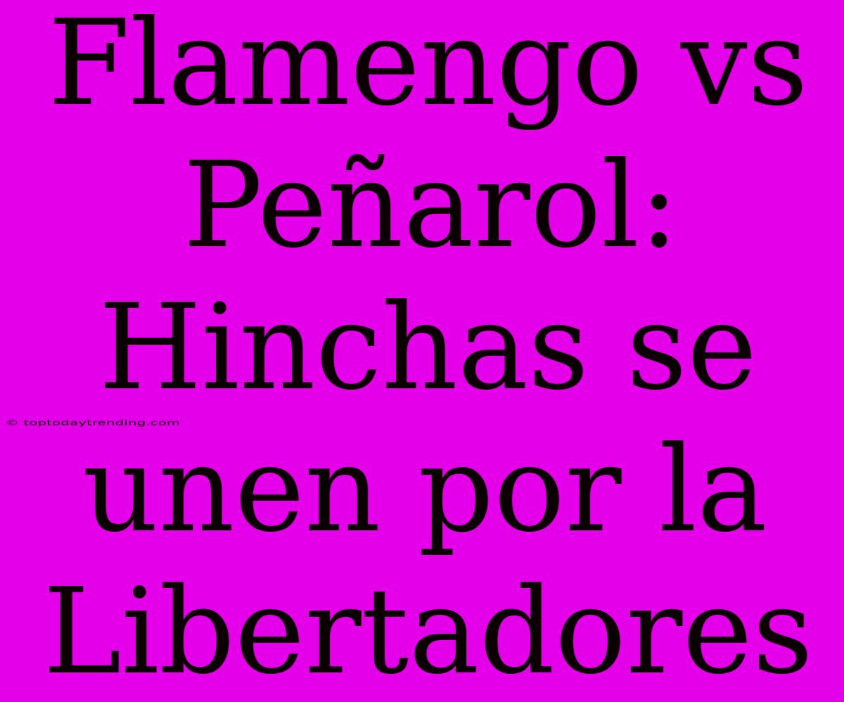 Flamengo Vs Peñarol: Hinchas Se Unen Por La Libertadores