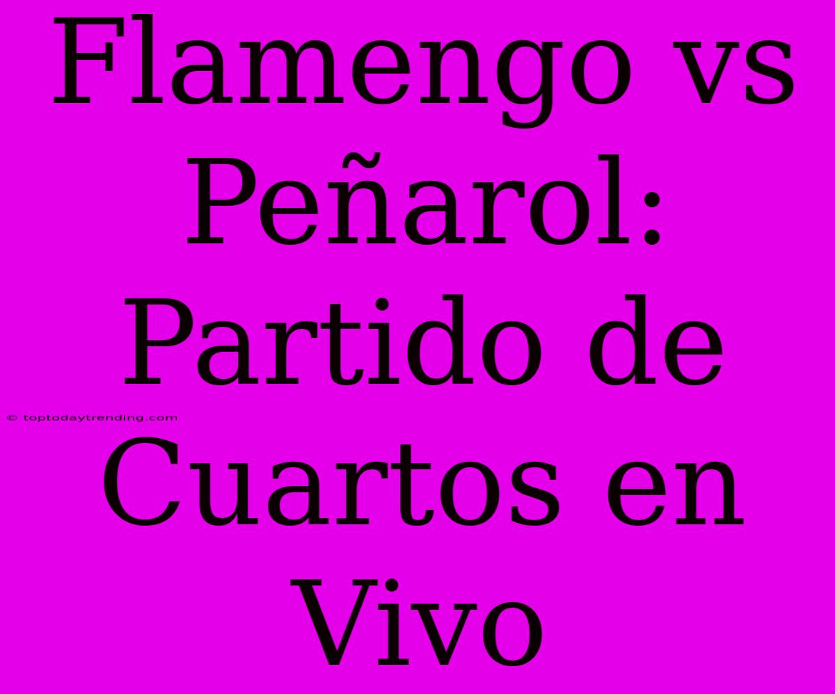 Flamengo Vs Peñarol: Partido De Cuartos En Vivo