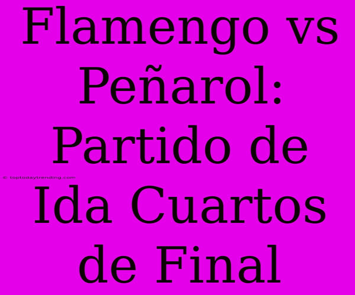 Flamengo Vs Peñarol: Partido De Ida Cuartos De Final