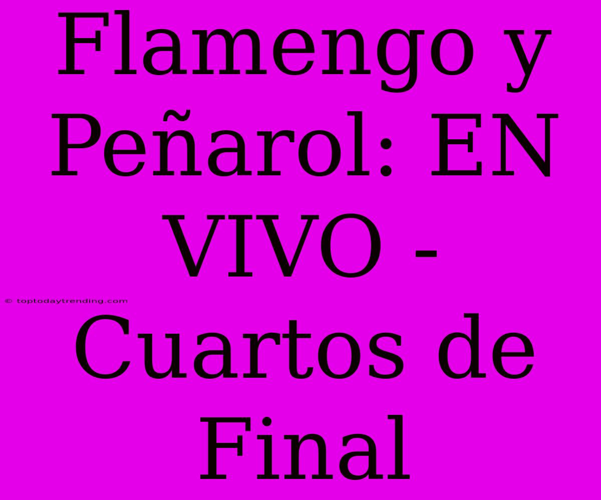 Flamengo Y Peñarol: EN VIVO - Cuartos De Final