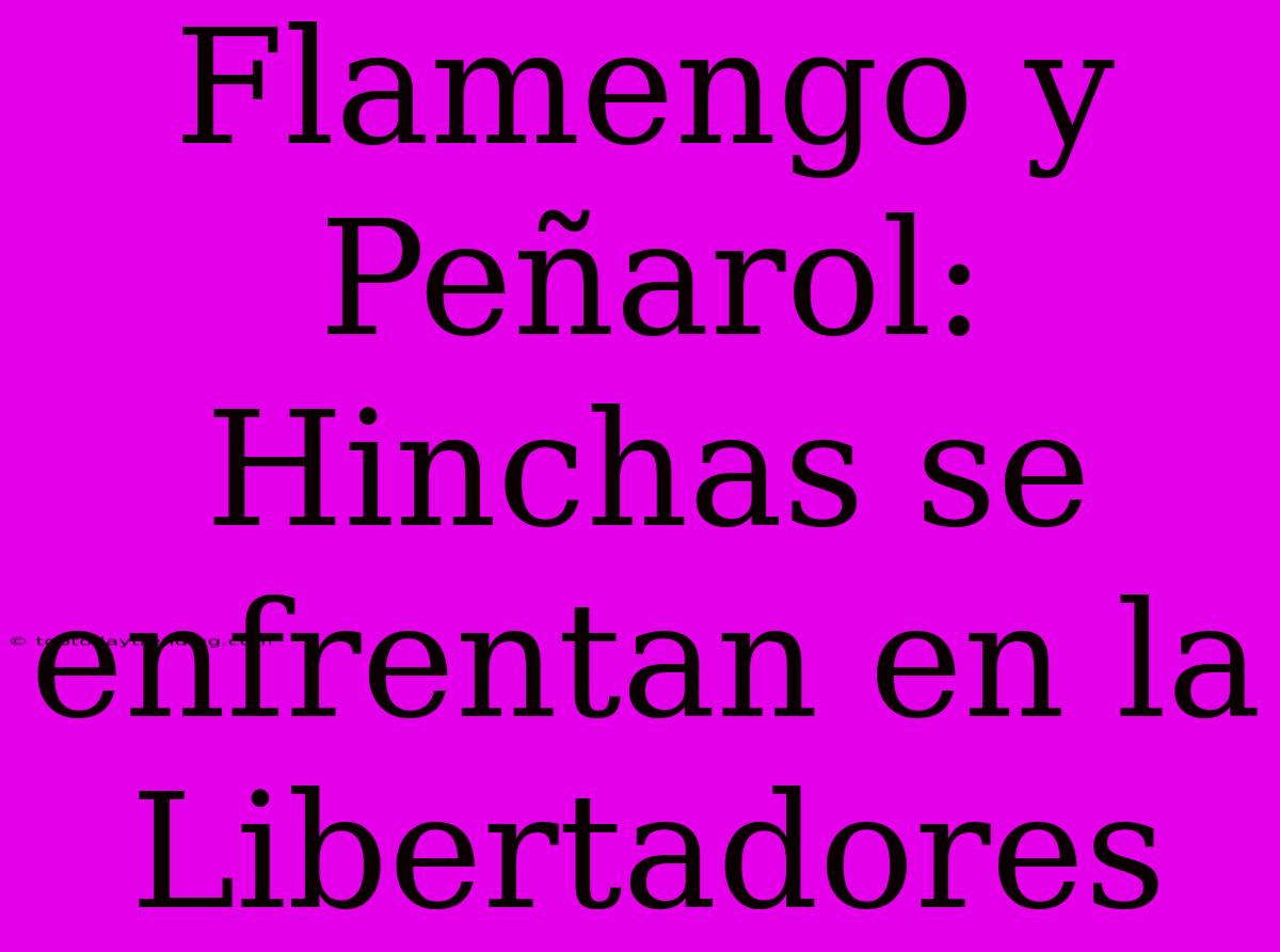 Flamengo Y Peñarol: Hinchas Se Enfrentan En La Libertadores