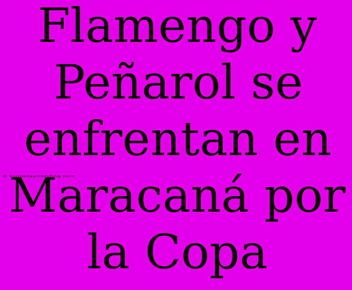 Flamengo Y Peñarol Se Enfrentan En Maracaná Por La Copa