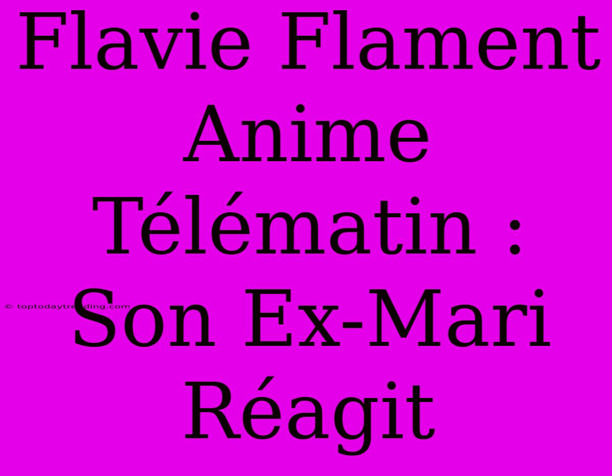 Flavie Flament Anime Télématin : Son Ex-Mari Réagit