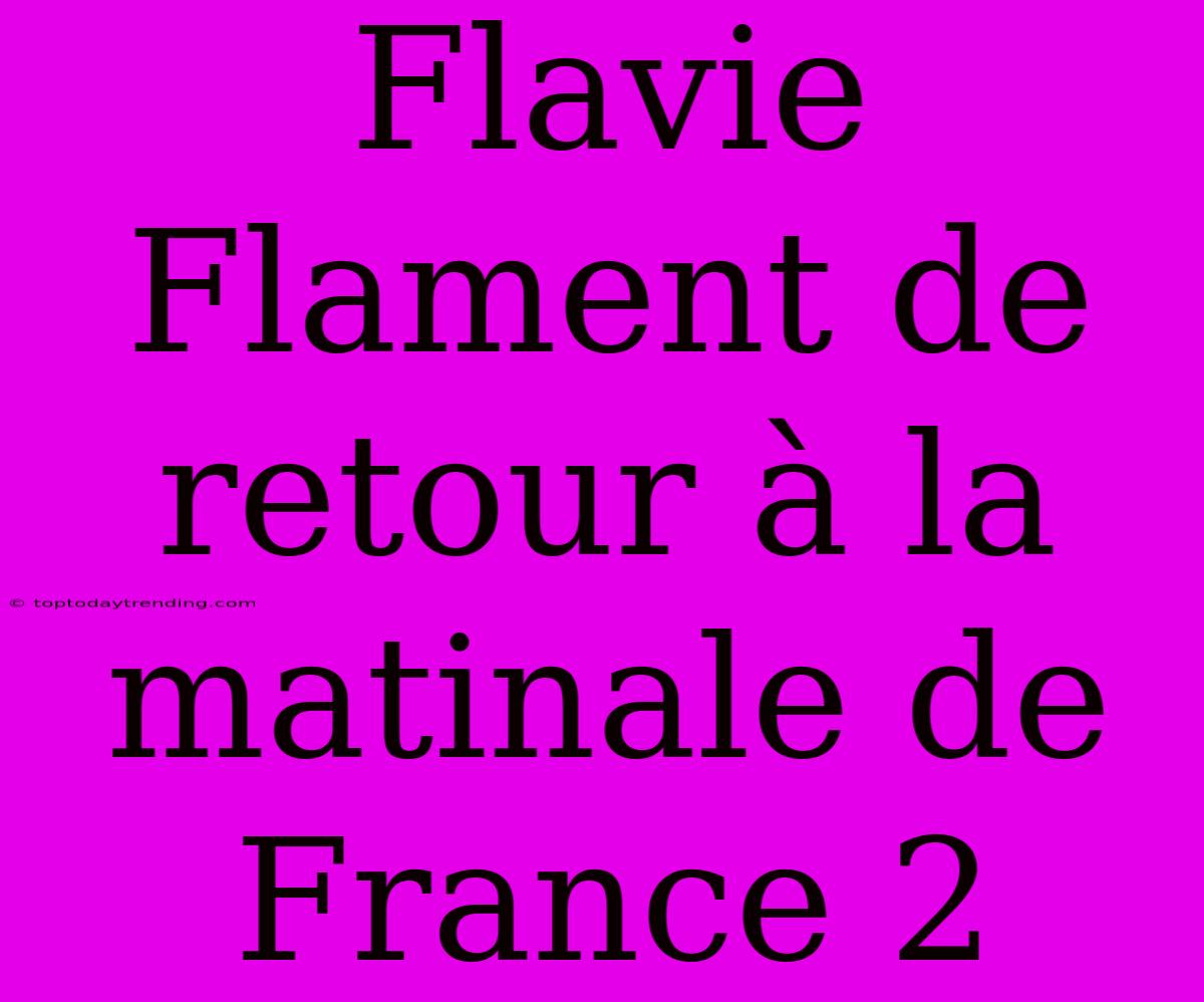 Flavie Flament De Retour À La Matinale De France 2