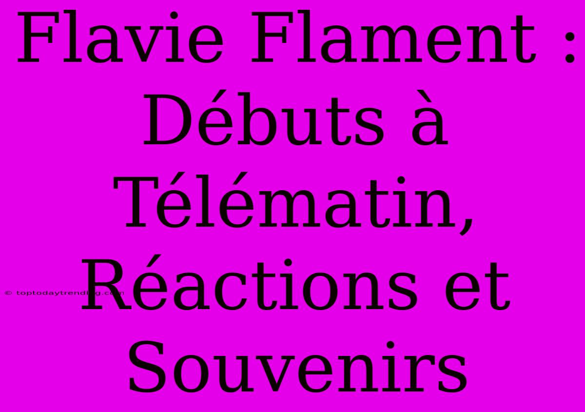 Flavie Flament : Débuts À Télématin, Réactions Et Souvenirs