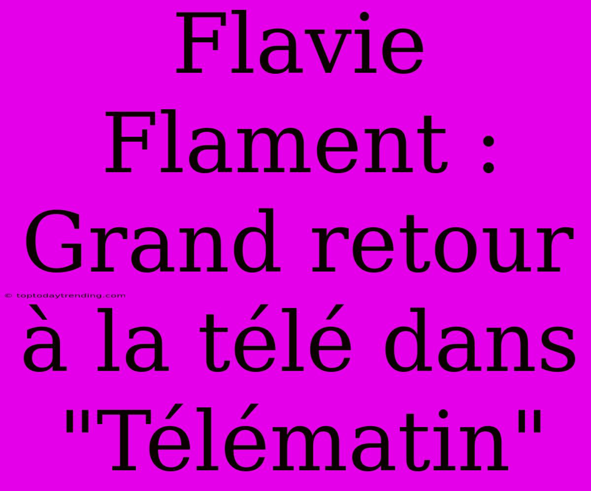 Flavie Flament : Grand Retour À La Télé Dans 